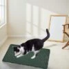SEVOBAL Litter Box Mat With Double Layers Urine-Proof Non-Slip Litter Trapping Mat Easy Clean Kitty Litter Scatter Control, Green, 54"*36"*1.5" -Household Items GUEST 508354bd 173b 437c a7ca 7b11d749826f