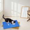 SEVOBAL Litter Box Mat With Double Layers Non-Slip Litter Trapping Mat Easy Clean Kitty Litter Scatter Control, Blue, 54"*36"*1.5" -Household Items GUEST ed601811 65de 4426 aefa 32f055089966